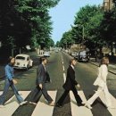 김선식농장 | 냐짱 : 암오케이 암파인 괜찮아?