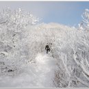 태백산약국 이미지