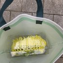 지엔키즈어린이집 이미지