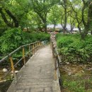 금잔디 | 계룡산 등산 후기｜갑사 코스 원점회귀, 금잔디고개·삼불봉·관음봉·연천봉까지