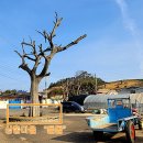 신촌정자마을회관 이미지