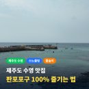 신촌어촌정주어항 | 제주도 여름 휴가 물놀이 하기 좋은 판포포구 방문기