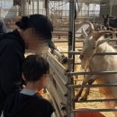 더 채움교육