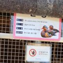 블루핸즈 음성맹동점 | 창원 동 단감테마공원 후기 – 스탬프투어 꿀팁, 경남 아이와 가기 좋은 가족 나들이 코스