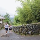 돌담 이미지