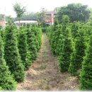 불은면-1 이미지