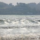 송정솔바람해변 이미지