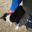 영주농장 이미지