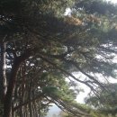 죽장마을(솔다박마을) 이미지