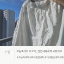 Art Zombie | 고농축 세탁세제라 다르다, K wash 천연 세탁세제 써봤어요