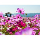 구리광장 이미지