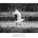 대위리-양지리 이미지