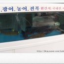 만복초밥 이미지