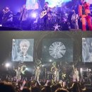 트리탑스 카카오 검색결과