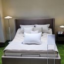 현대돌침대 울산점 | 펫매트리스를 만날 수 있는 N32 아이슬란드에서 온 하이엔드 비건 매트리스 저속노화 쪼꼬미 매트리스