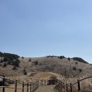 용눈이오름 주차장 | [용눈이오름/제주가볼만한곳] 제주 오름의 정석! 용눈이 오름 다녀온 방문 후기 🌳🏃‍♀️🏃‍♂️