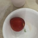 박준형내과의원 | 오래도 버텼다,,⭐️ 드디어 인생 첫 코로나 확진,,,,ㅠㅠ🦠