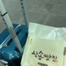 [2023] 급결정, 급하게 온 2박 3일 후쿠오카 여행(배타고 후쿠오카)
