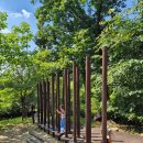 초부리유아숲체험원 이미지