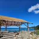 파도리 해수욕장 | 태안여행 바다카페추천 파도리해수욕장 해피준 내돈내산 후기