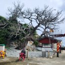 대본1리 이미지