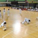 화랑체육관(태권도) 이미지