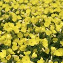 함마대로주유소 이미지