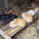 월류봉~반야사 문화생태탐방로 이미지