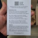 (원데이) 나만의 작은 숲, 테라리움 이미지