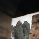 뿌리깊은우리역사 이미지