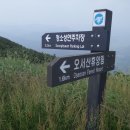 오서산꿈의궁전 이미지