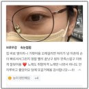 브로우강 | 내맘에 쏙 드는 속눈썹펌후기 브로우강&셀핏바디
