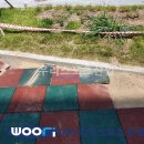 신현초등학교 병설유치원 이미지