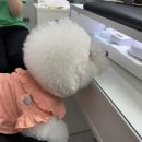 어반조이네일