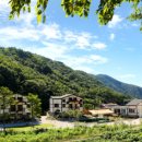 백운면 2049 이미지