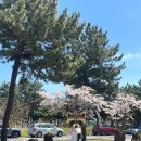 함덕흑돼지조약돌구이초원 이미지