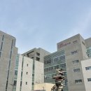 마포구청역 3번출구 | 마포중앙도서관 이용 꿀팁 클림트 강연 후기와 주차 층별 안내까지