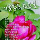 화요일 - 강릉시 범일로 601 | 화요일