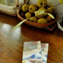 사랑채 민박 이미지