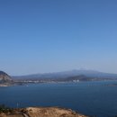 알파명동성당