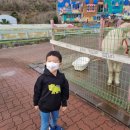 조은목장 이미지