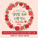 이해법셀파수학