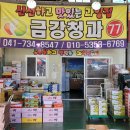 금강청과 이미지