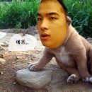 어쩌다가 이미지