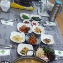 통통장어 이미지