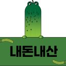 476 | 제주 교래리 셀프스튜디오 교래476 셀프 웨딩 스냅 후기