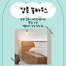 화이트하우스(솔비치) | R.[쏠하우스] 강릉 숙소 추천 쏠하우스 디럭스룸 후기✨