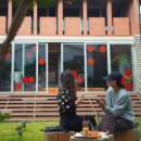 체리애견 이미지