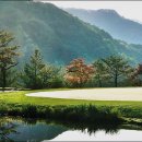 중앙골프 이미지