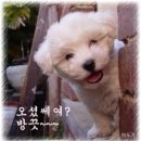 예